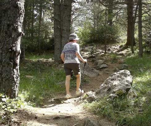 centro de enfermedades neurodegenerativas