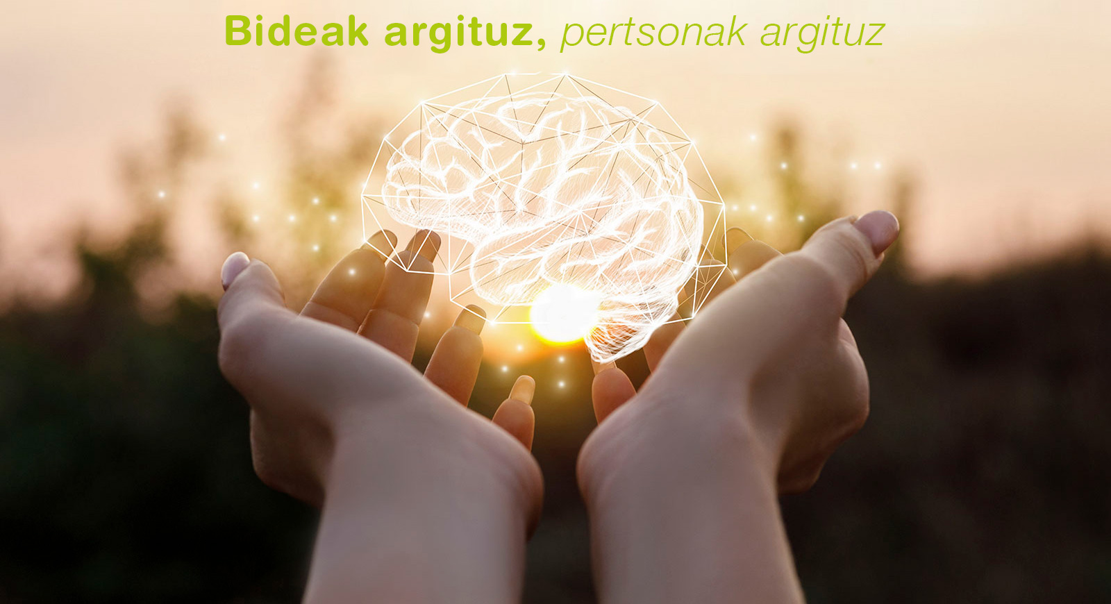 centro de estimulacion cognitiva 