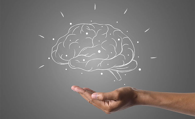 estimulazio konginitibo integrala